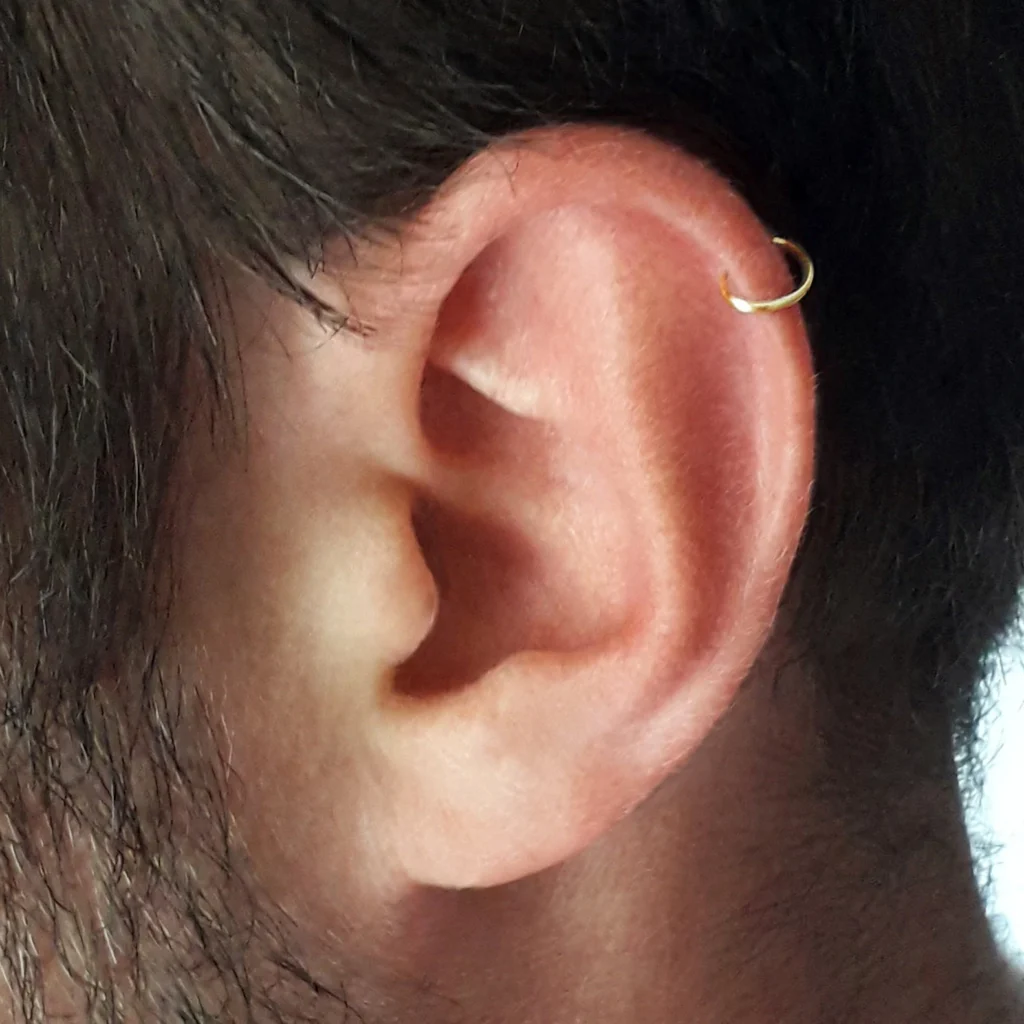 Ear Piercing Ideas For Small Face Men