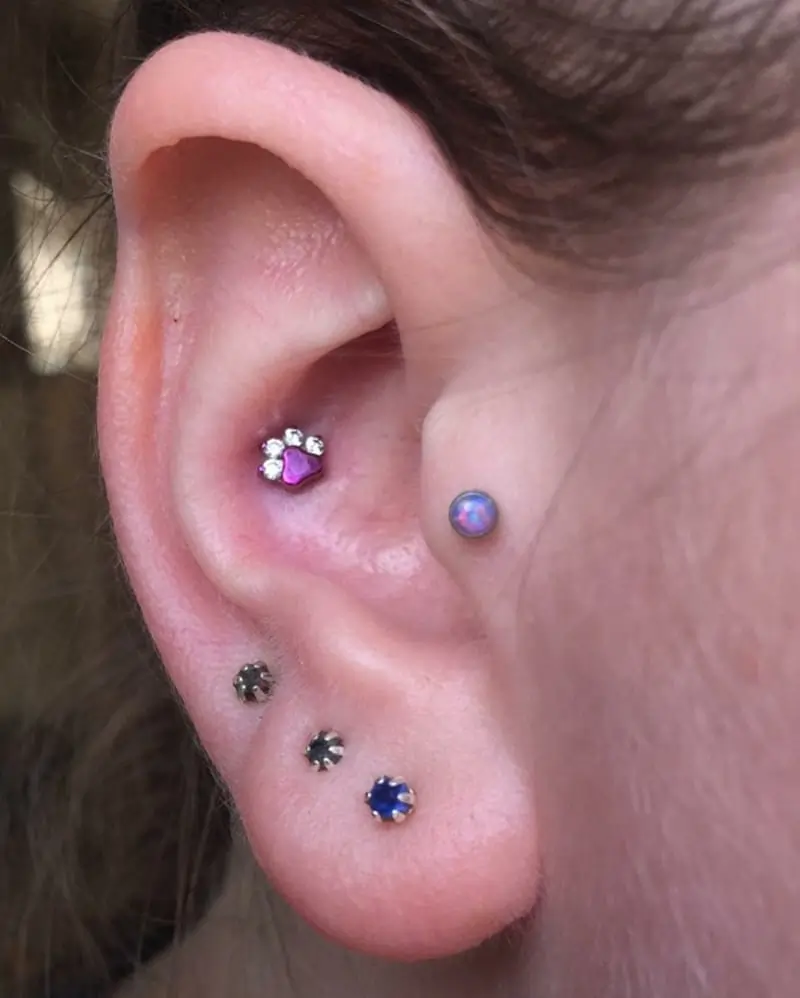 Double Conch Piercing Ideas For Men & Women